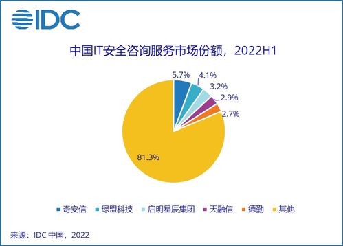 IDC報(bào)告解讀 2022上半年中國網(wǎng)絡(luò)安全服務(wù)市場(chǎng)穩(wěn)健增長(zhǎng)，網(wǎng)絡(luò)服務(wù)能力成為核心驅(qū)動(dòng)力